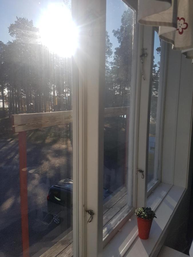 Furudals Vandrarhem Och Sjoecamping 외부 사진