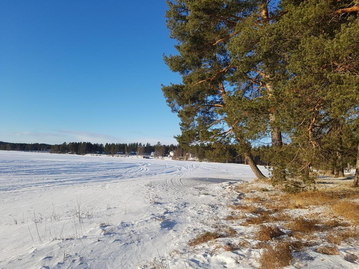 Furudals Vandrarhem Och Sjoecamping 외부 사진